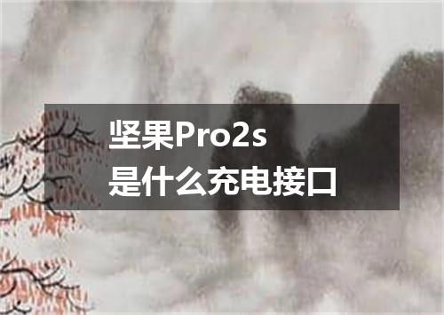 坚果Pro2s是什么充电接口