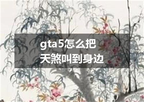 gta5怎么把天煞叫到身边