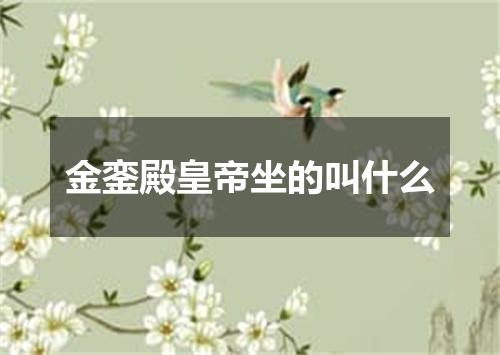 金銮殿皇帝坐的叫什么