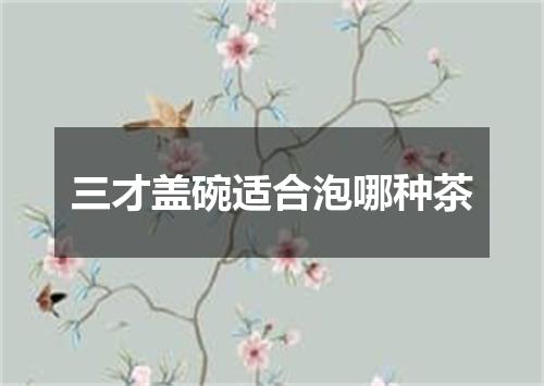 三才盖碗适合泡哪种茶