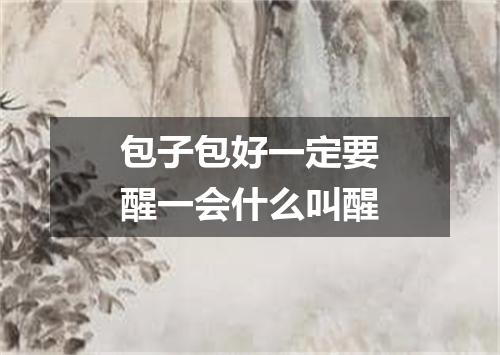 包子包好一定要醒一会什么叫醒