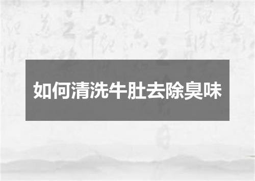 如何清洗牛肚去除臭味