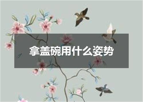 拿盖碗用什么姿势