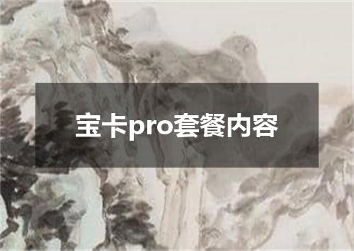宝卡pro套餐内容
