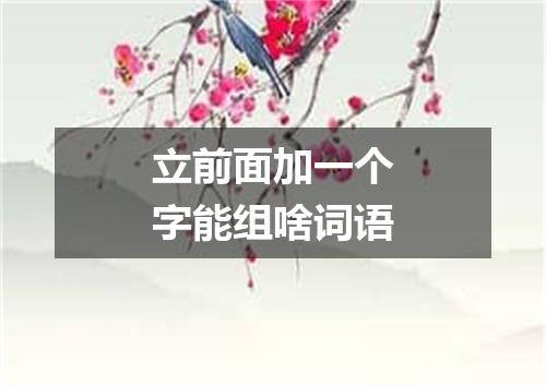 立前面加一个字能组啥词语