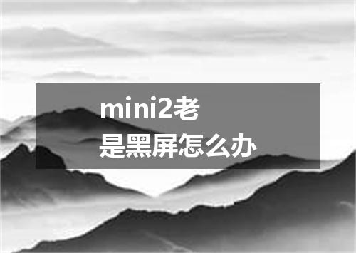 mini2老是黑屏怎么办