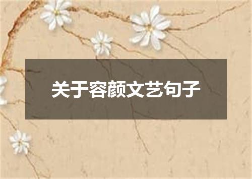 关于容颜文艺句子