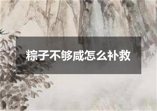 粽子不够咸怎么补救