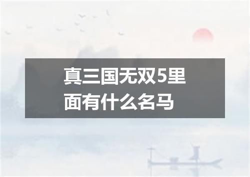 真三国无双5里面有什么名马