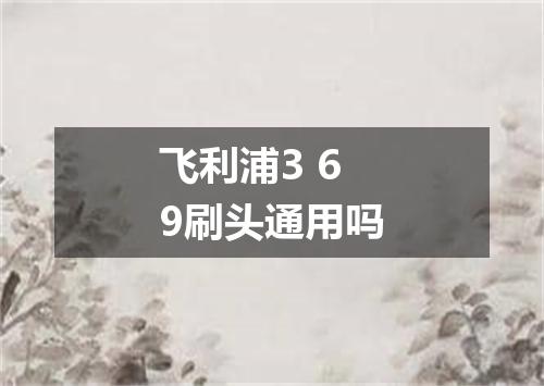 飞利浦3 6 9刷头通用吗