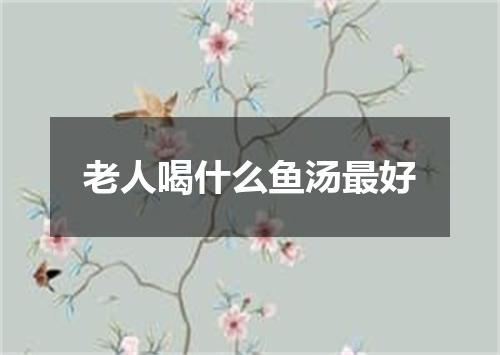 老人喝什么鱼汤最好