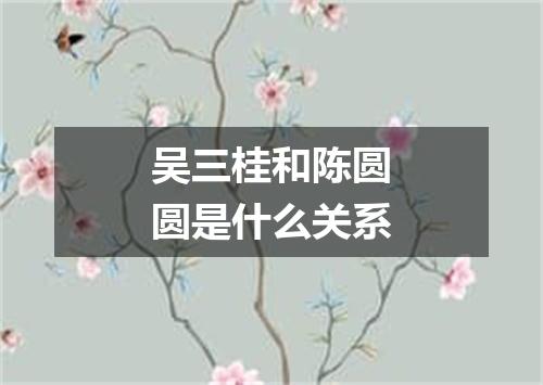 吴三桂和陈圆圆是什么关系