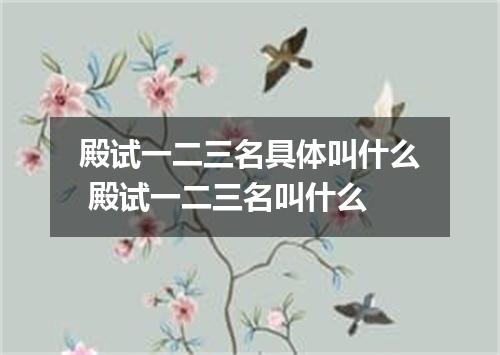 殿试一二三名具体叫什么 殿试一二三名叫什么