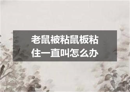 老鼠被粘鼠板粘住一直叫怎么办