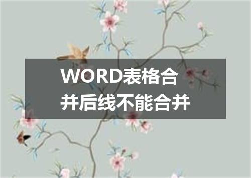 WORD表格合并后线不能合并