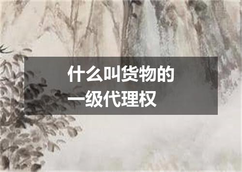 什么叫货物的一级代理权