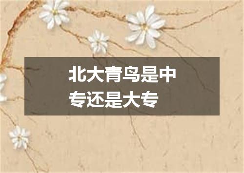 北大青鸟是中专还是大专