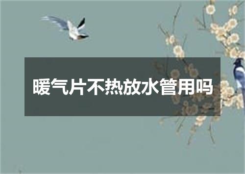 暖气片不热放水管用吗