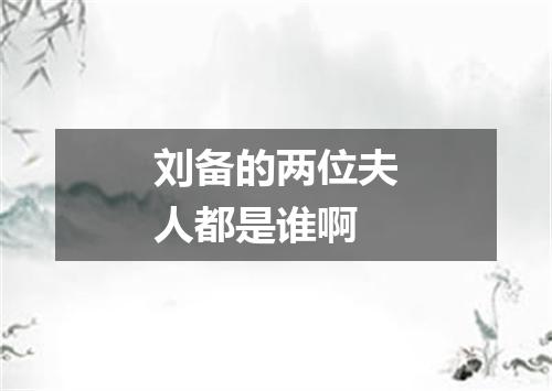 刘备的两位夫人都是谁啊