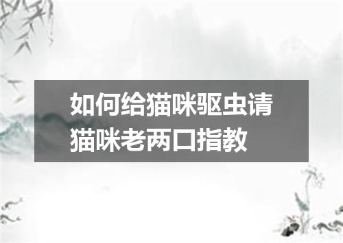 如何给猫咪驱虫请猫咪老两口指教