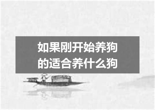 如果刚开始养狗的适合养什么狗