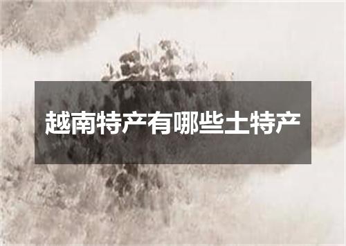 越南特产有哪些土特产