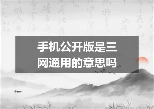 手机公开版是三网通用的意思吗