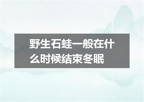 野生石蛙一般在什么时候结束冬眠
