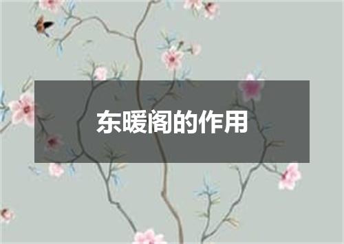 东暖阁的作用