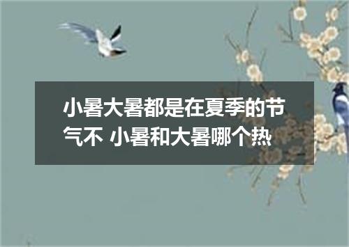 小暑大暑都是在夏季的节气不 小暑和大暑哪个热