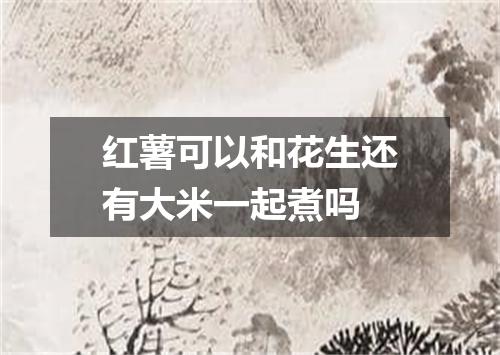 红薯可以和花生还有大米一起煮吗