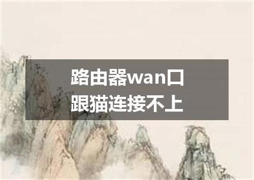 路由器wan口跟猫连接不上