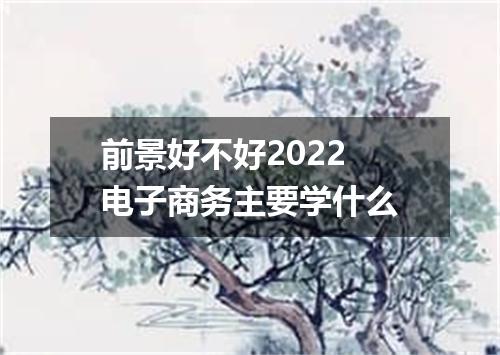 前景好不好2022 电子商务主要学什么