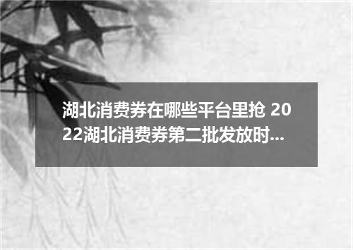 湖北消费券在哪些平台里抢 2022湖北消费券第二批发放时间什么时候
