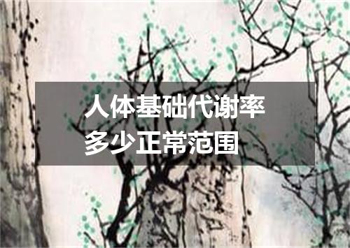 人体基础代谢率多少正常范围