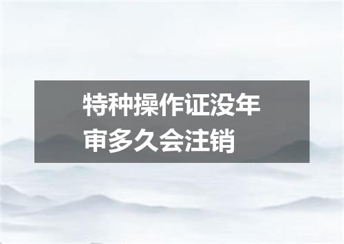 特种操作证没年审多久会注销