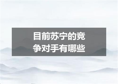 目前苏宁的竞争对手有哪些