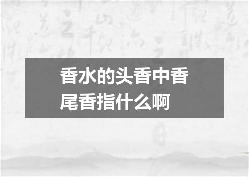 香水的头香中香尾香指什么啊