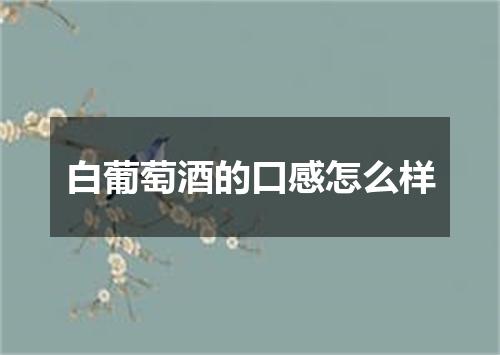 白葡萄酒的口感怎么样