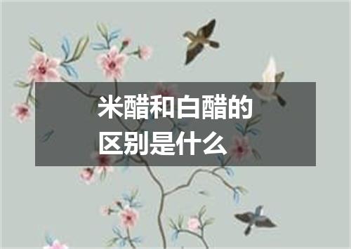 米醋和白醋的区别是什么