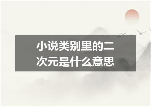 小说类别里的二次元是什么意思