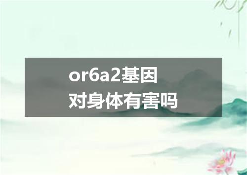 or6a2基因对身体有害吗