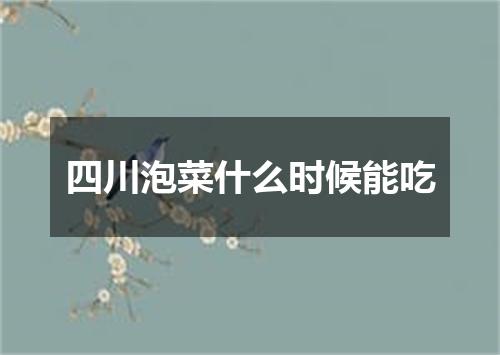 四川泡菜什么时候能吃