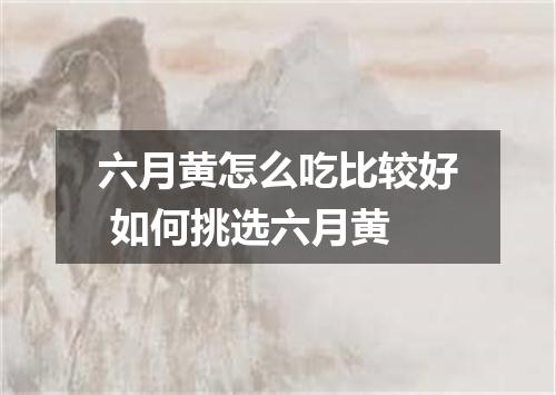 六月黄怎么吃比较好 如何挑选六月黄