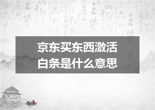 京东买东西激活白条是什么意思