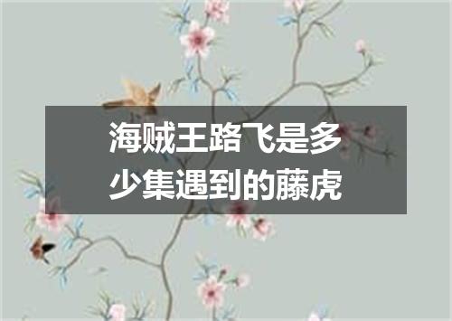 海贼王路飞是多少集遇到的藤虎