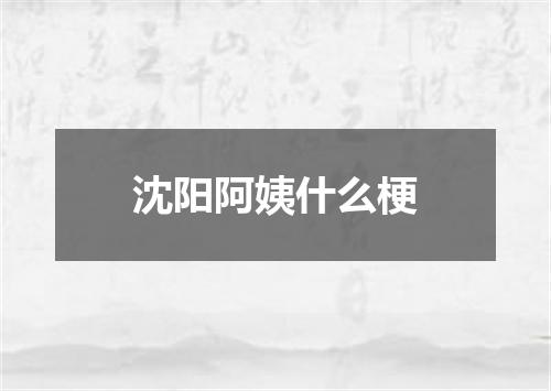 沈阳阿姨什么梗