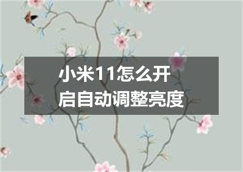 小米11怎么开启自动调整亮度
