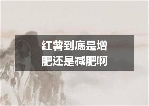 红薯到底是增肥还是减肥啊