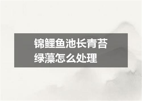 锦鲤鱼池长青苔绿藻怎么处理